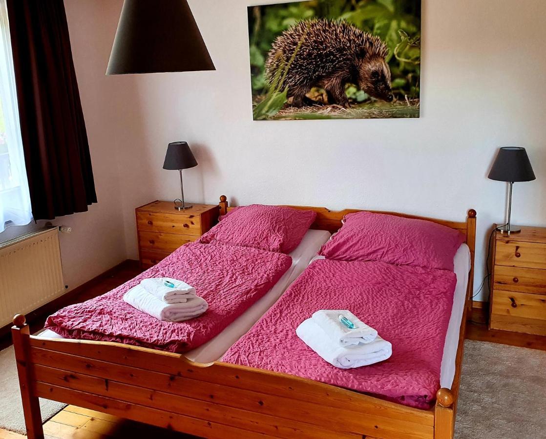 Hotel Gruener Baum Neckargerach Exteriér fotografie